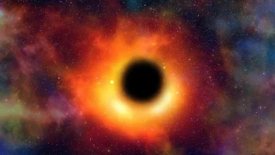 Interesting Facts about Black Hole