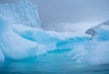 Facts about Antarctica