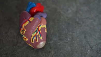 Facts about human heart