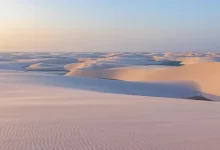 Interesting facts about deserts