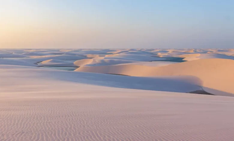 Interesting facts about deserts