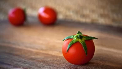 Facts about tomato