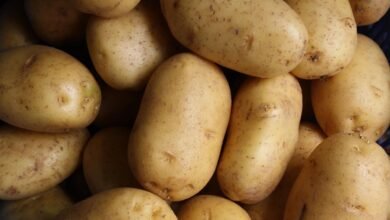 Interesting Potato Facts